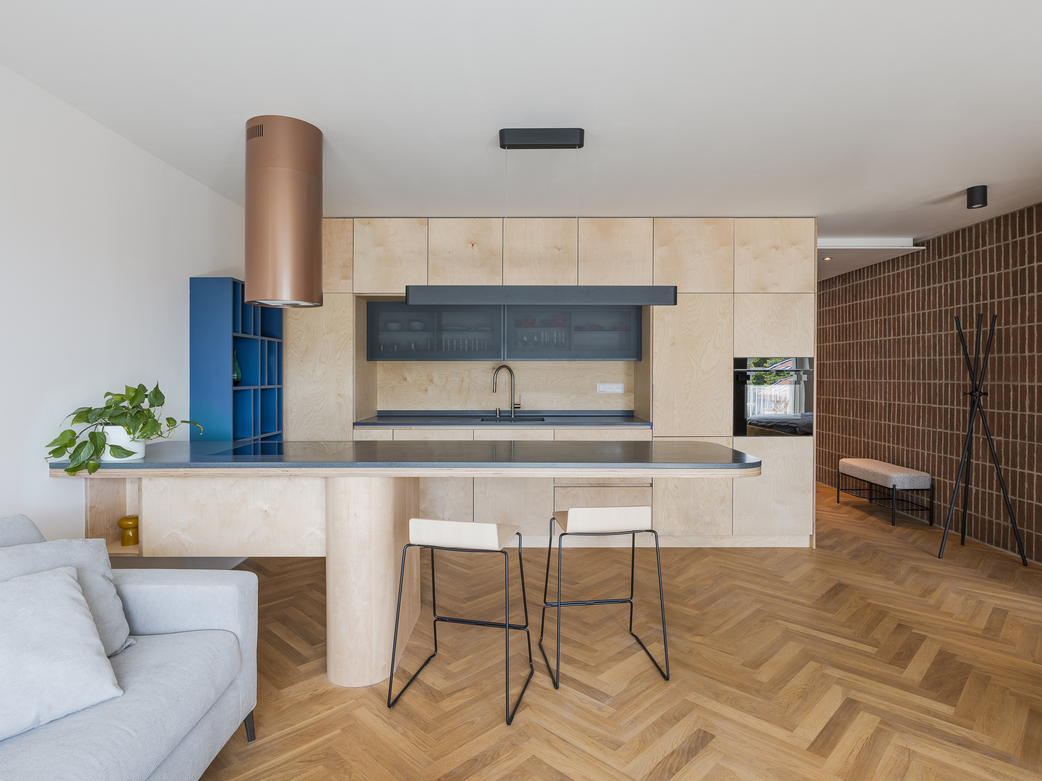 Apartment with a blue library
