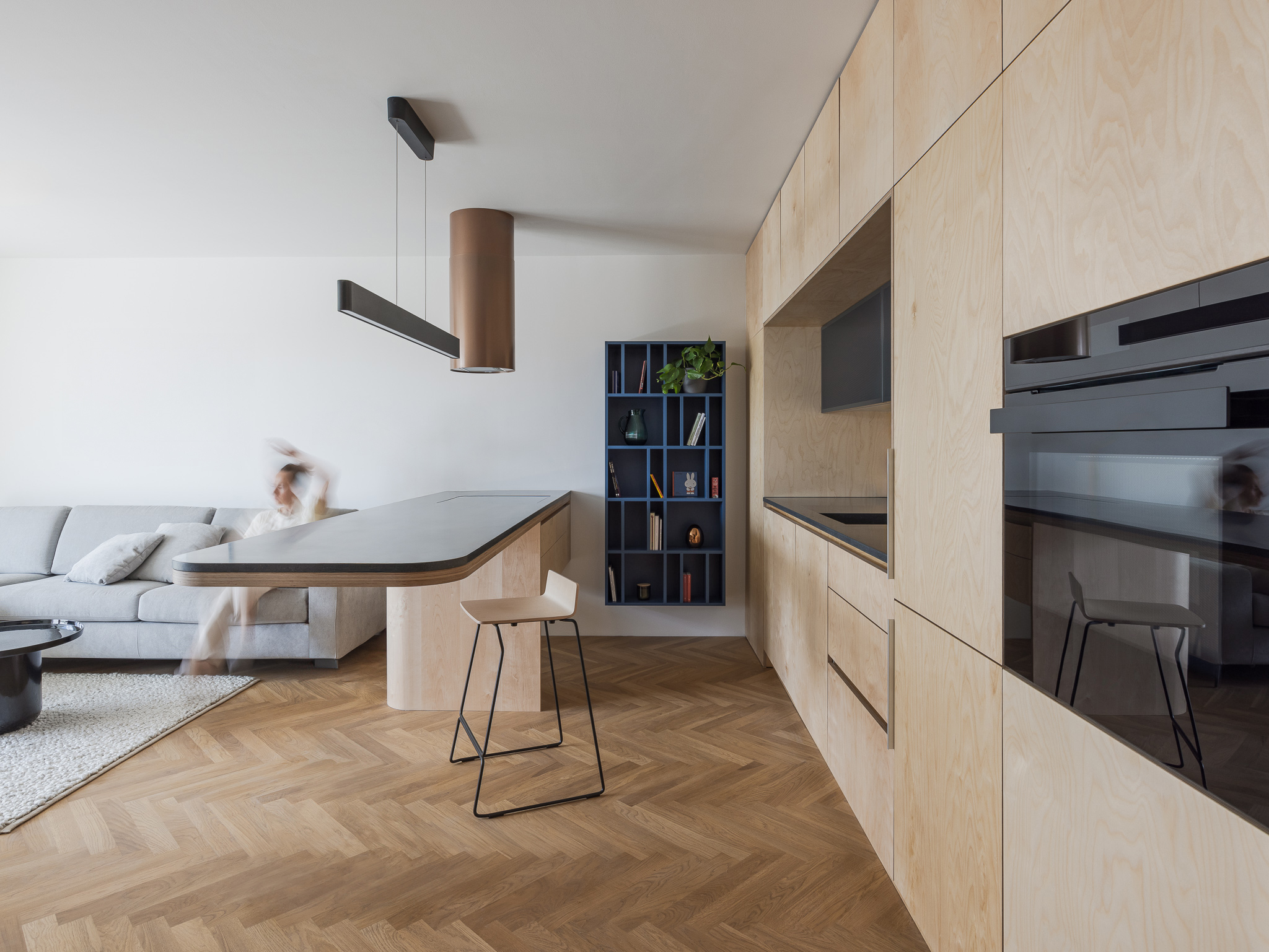 Apartment with a blue library